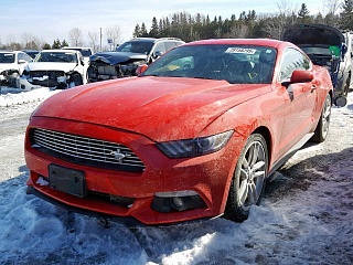 FORD MUSTANG 
